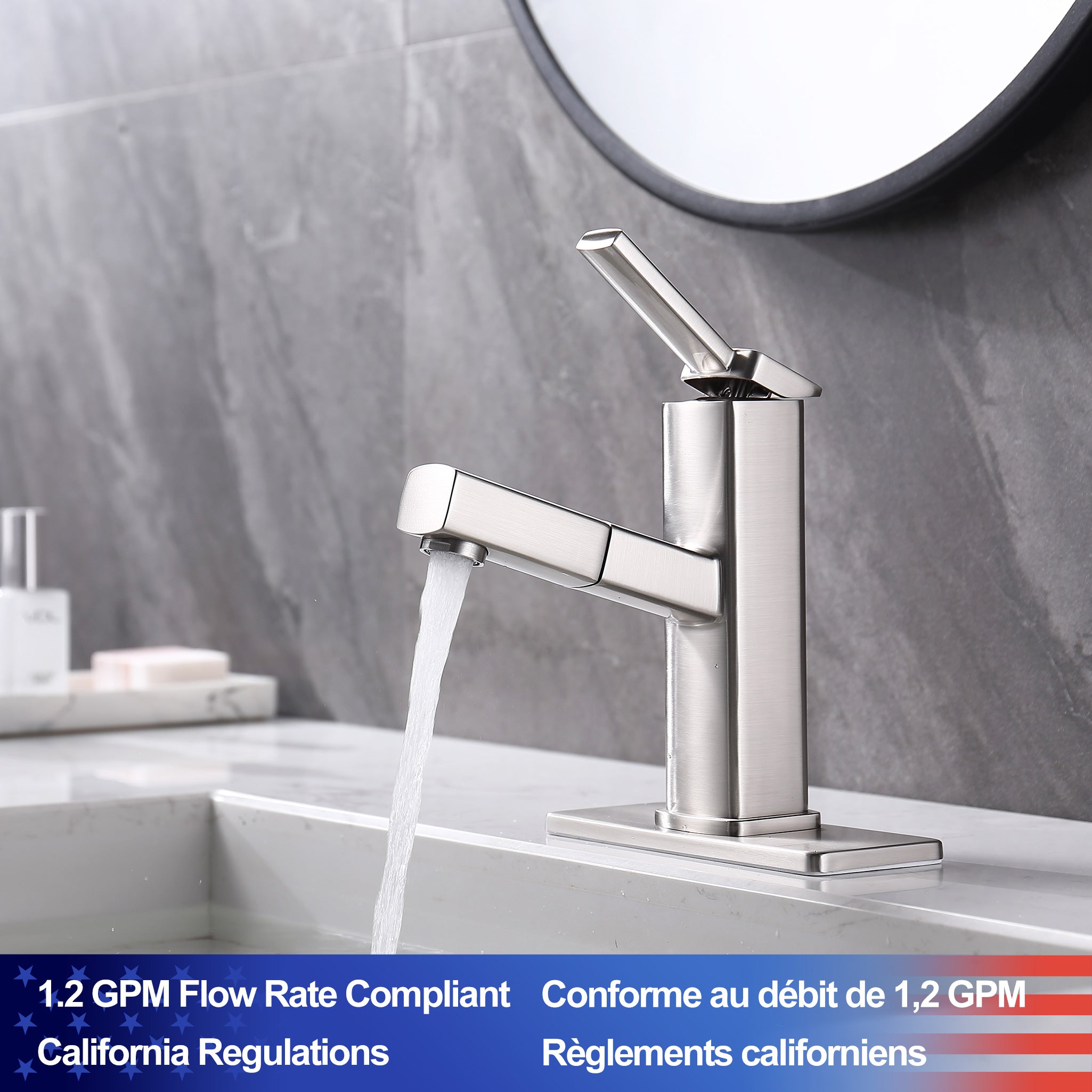 Single-Handle Pull-Out Bathroom Faucet RX5801