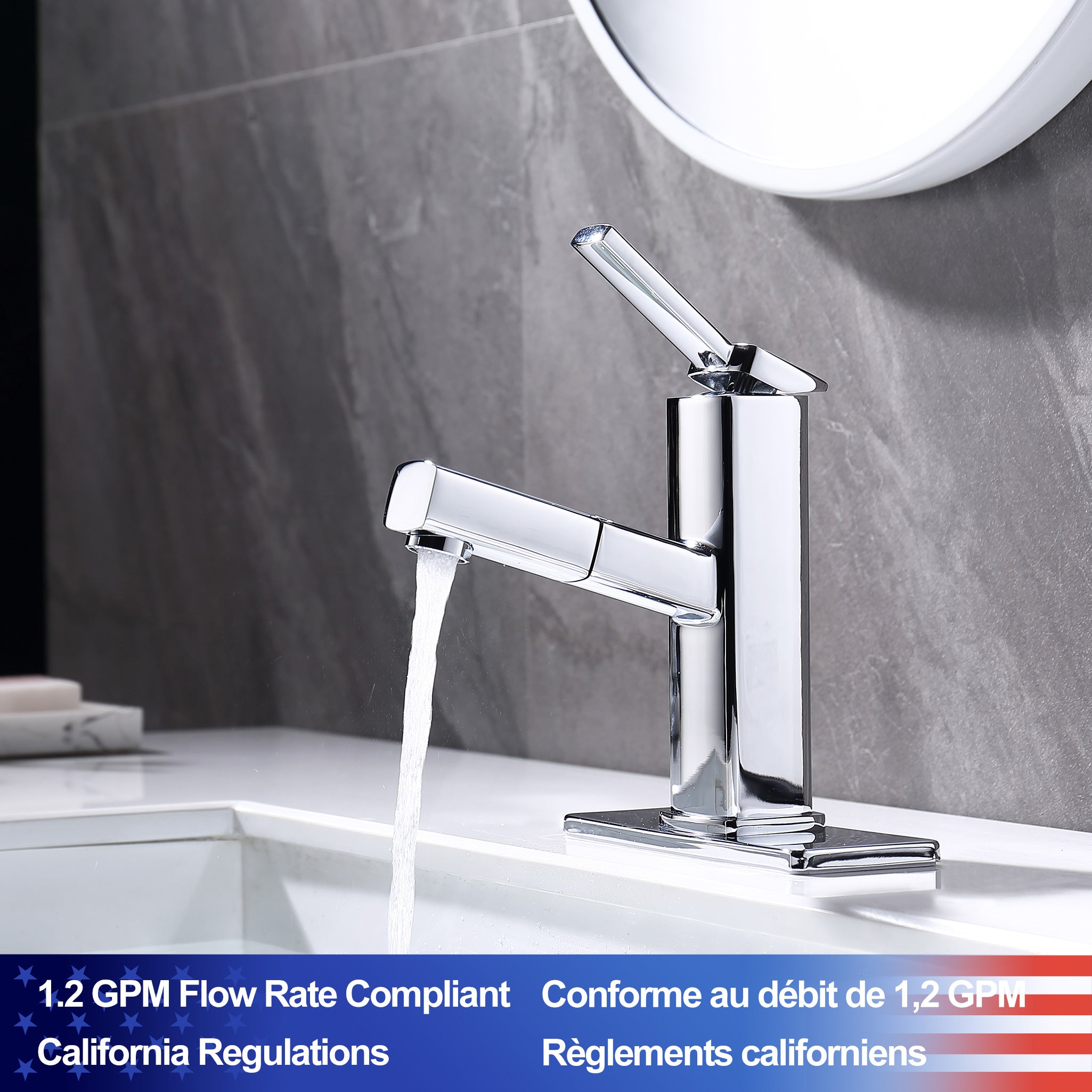 Single-Handle Pull-Out Bathroom Faucet RX5801