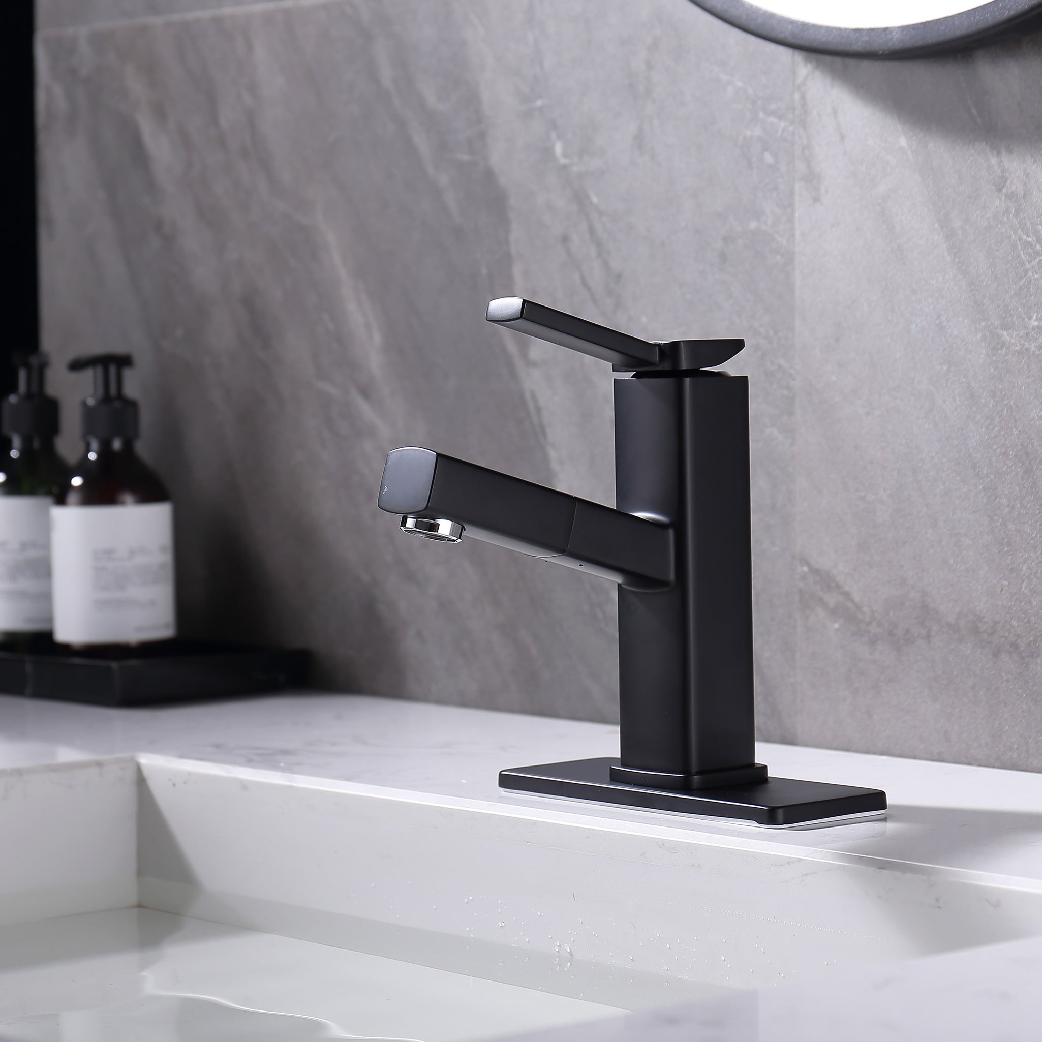 Single-Handle Pull-Out Bathroom Faucet RX5801