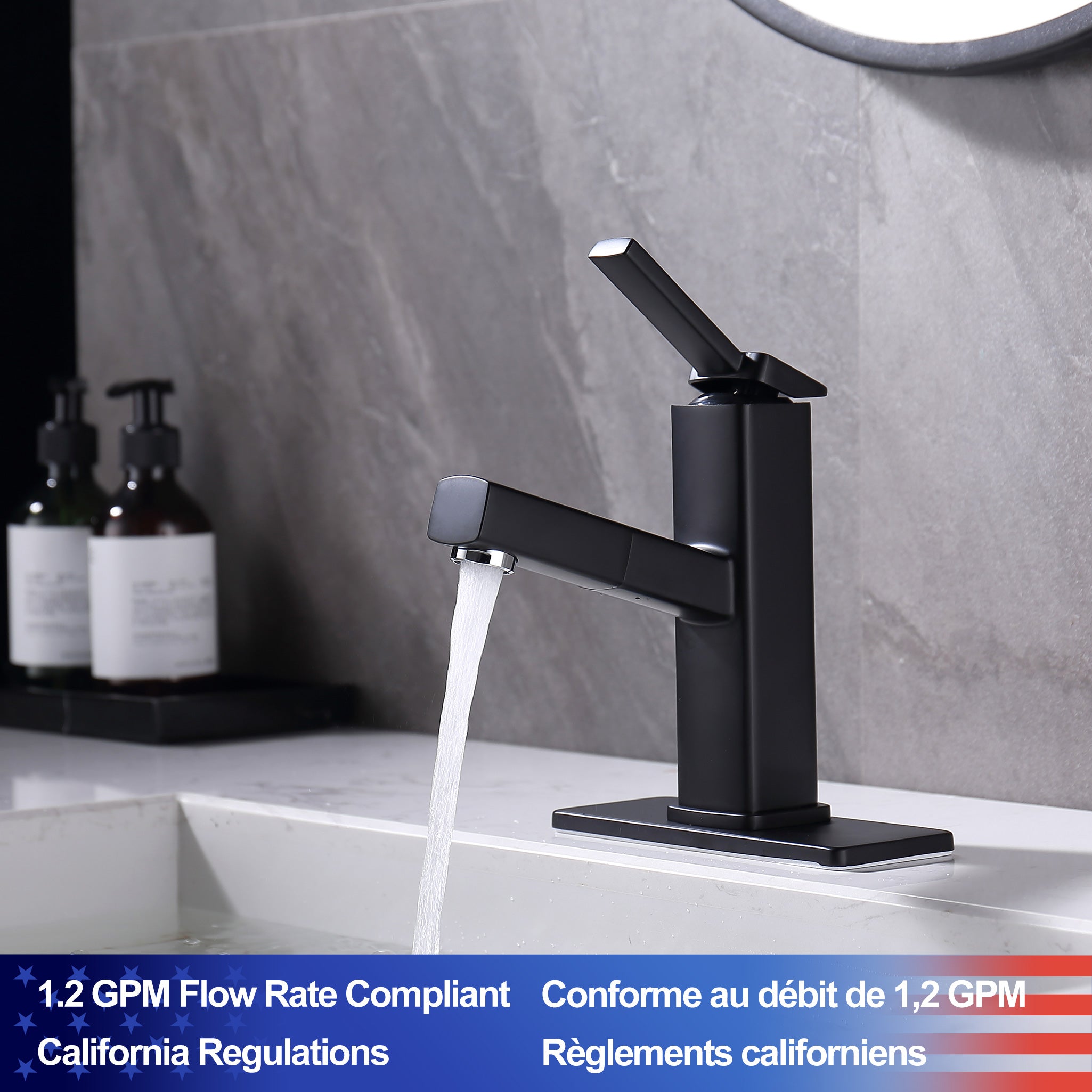 Single-Handle Pull-Out Bathroom Faucet RX5801