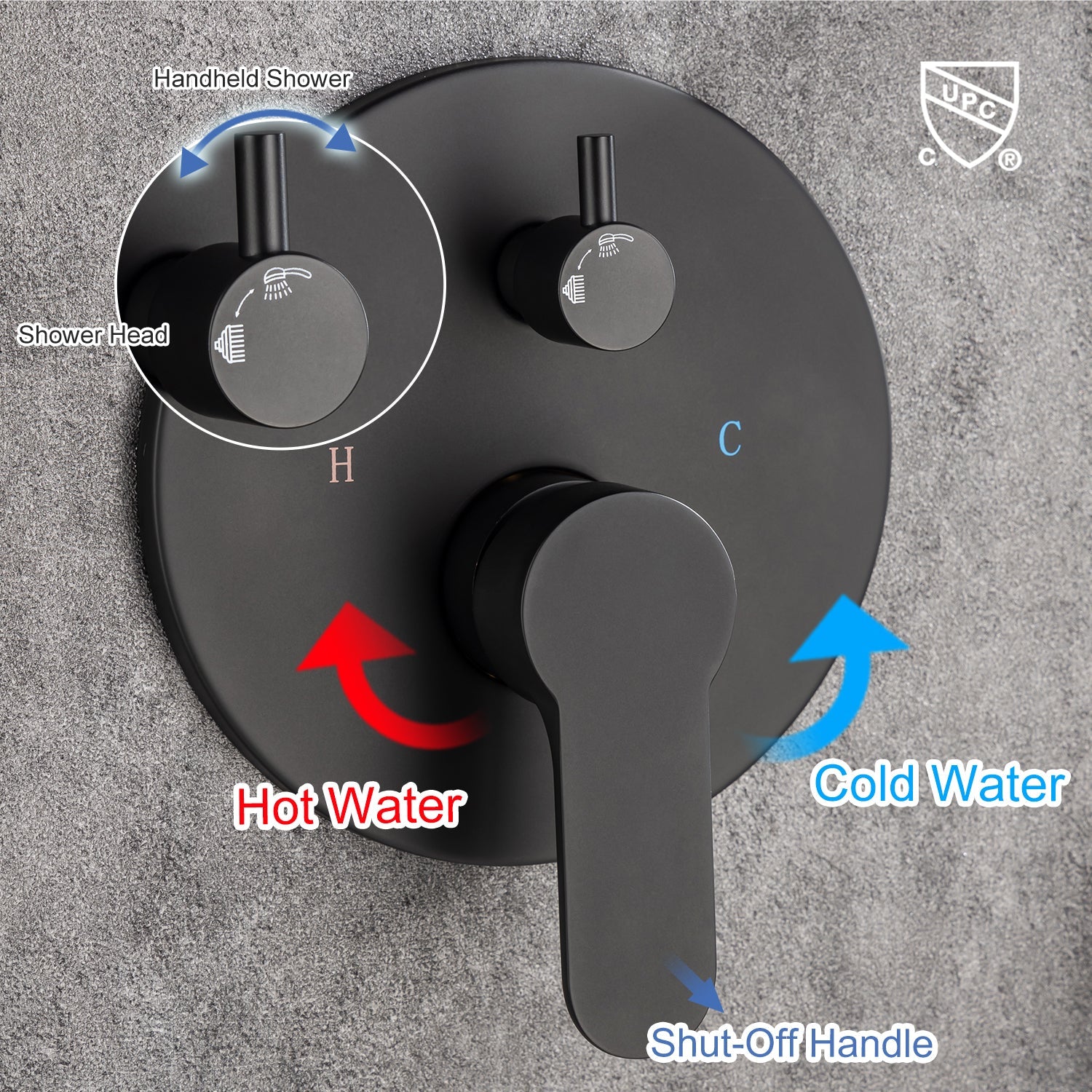 Ceiling-mount shower with diverter and handle